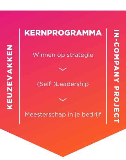 Programme visuals - website